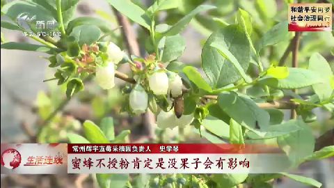武進(jìn)新聞