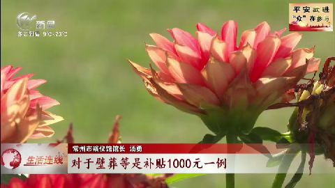 武進(jìn)新聞