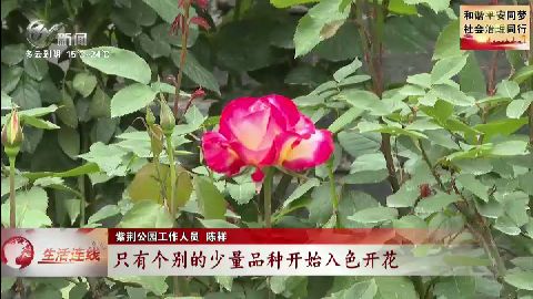 武進(jìn)新聞