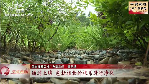 武進新聞