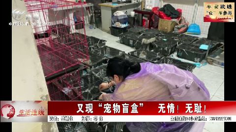 武進新聞