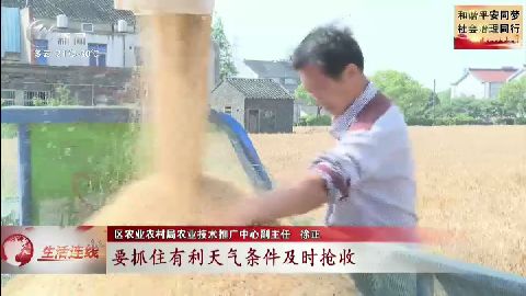 武進新聞