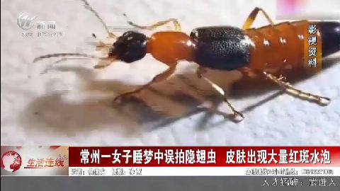 武進新聞