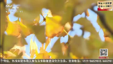 武進新聞