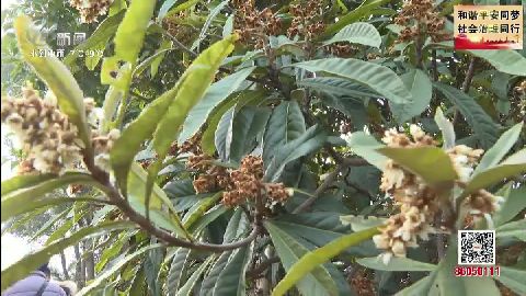 武進(jìn)新聞