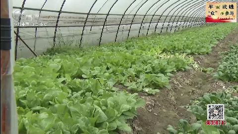 武進新聞