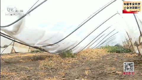 武進(jìn)新聞