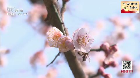 武進新聞