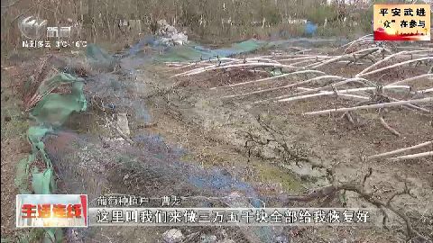 武進新聞