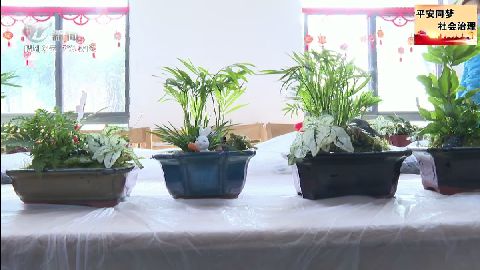 武進新聞