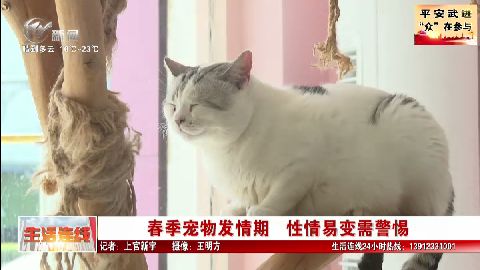 武進新聞