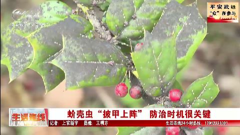 武進新聞