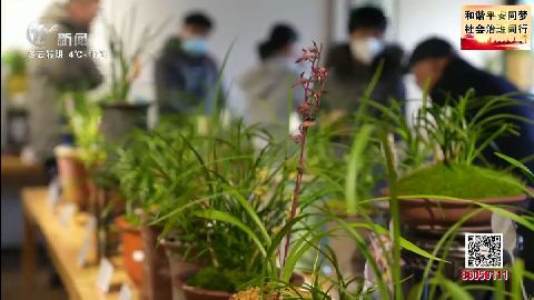 武進(jìn)新聞