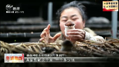 武進(jìn)新聞