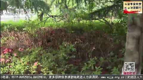 武進新聞