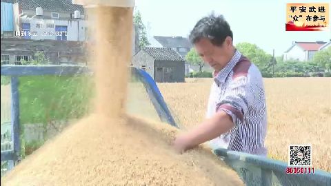 武進新聞
