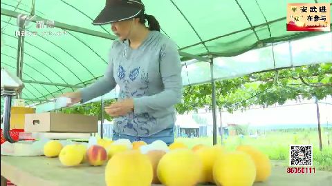 武進新聞