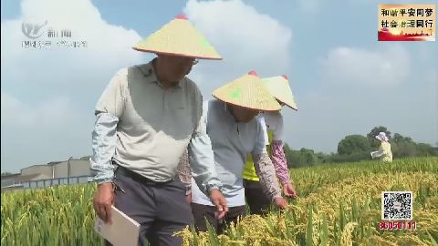 武進(jìn)新聞