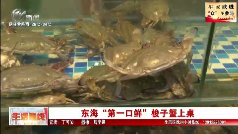 武進(jìn)新聞