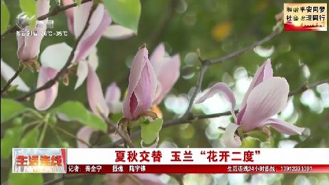 武進(jìn)新聞