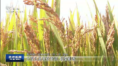武進新聞