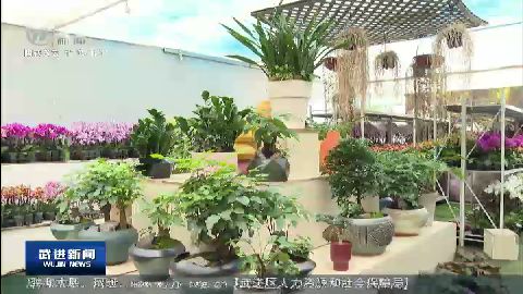武進(jìn)新聞