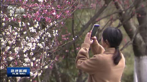 武進新聞