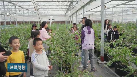 武進(jìn)新聞