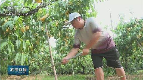 武進(jìn)新聞