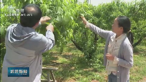 武進(jìn)新聞