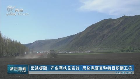 武進新聞