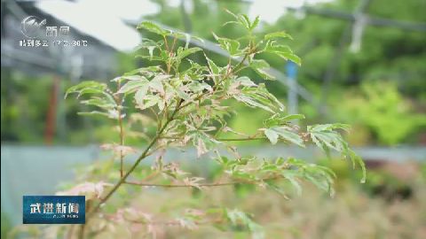 武進(jìn)新聞