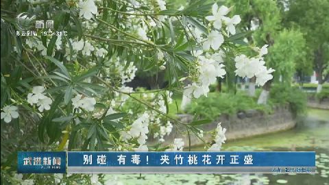 武進新聞
