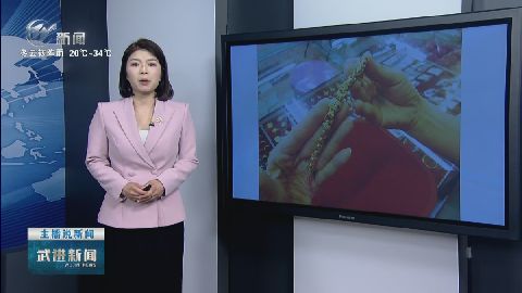 武進新聞