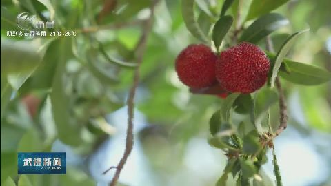 武進(jìn)新聞