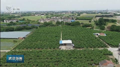 武進新聞