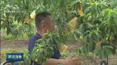 武進新聞