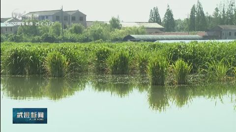 武進新聞