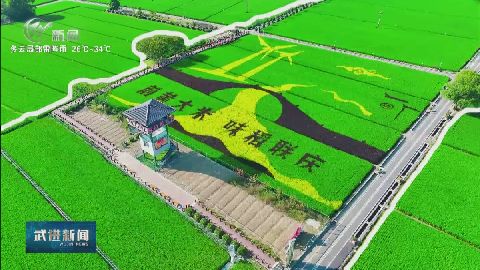 武進(jìn)新聞