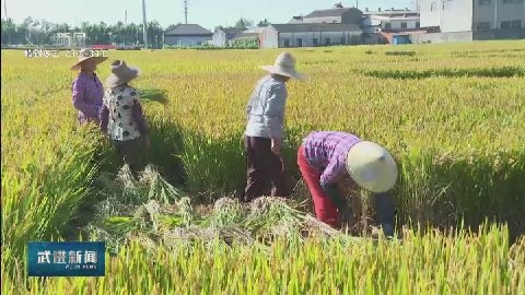 武進(jìn)新聞