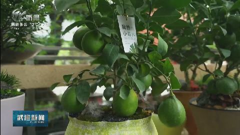 武進(jìn)新聞